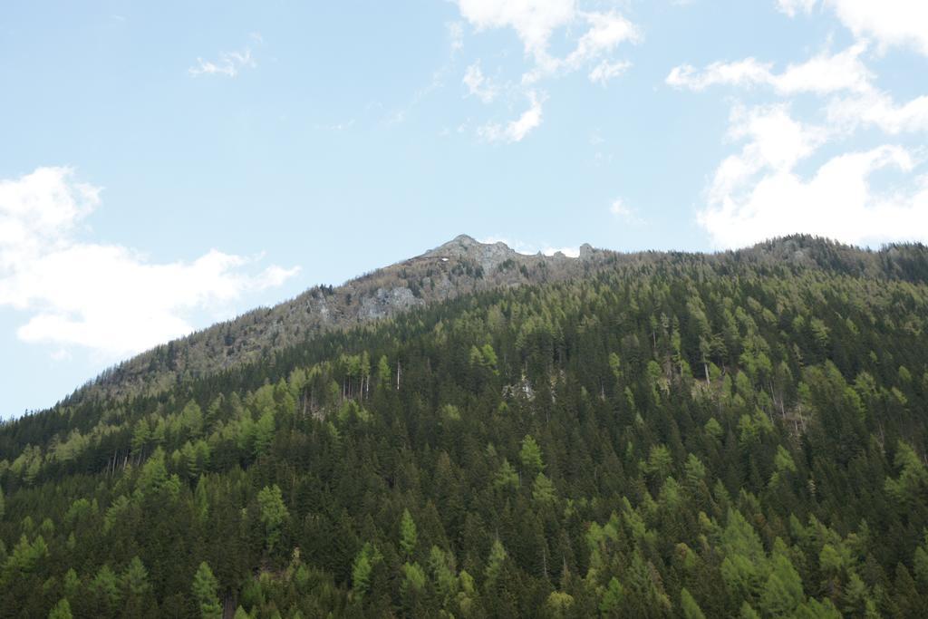 Saeuleck Appartement Inkl Skibus Малиниц Екстериор снимка