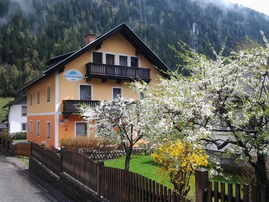 Saeuleck Appartement Inkl Skibus Малиниц Екстериор снимка